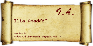 Ilia Amadé névjegykártya